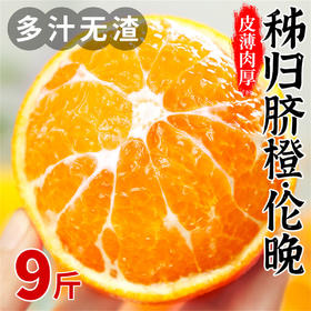 【宜昌助农馆】峡江秭归伦晚脐橙  鲜橙头茬上市 多规格可选