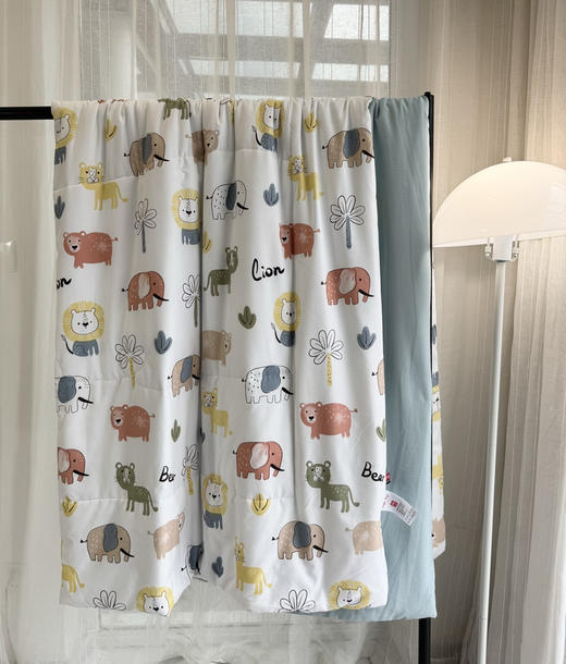 德国原单夏凉被3斤空调被 商品图1