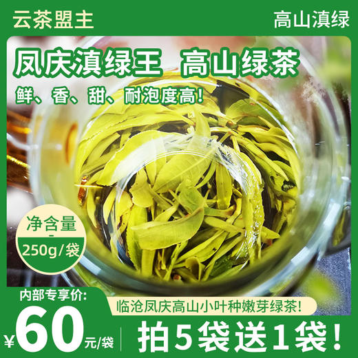 头春首波，樶为鲜香，千万别错过！云茶盟主2026年现货速发！第九年延续，云南高山凤庆滇绿精选贵族茶！口口生香，回甘不止，清甜润喉！250克*袋！ 商品图0