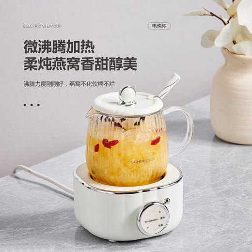 电炖杯 SWK-XDBL01 商品图8