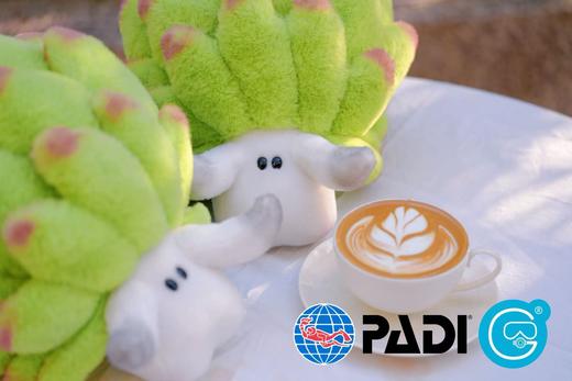 PADI Gear - PADI ✖ intotheblue 毛绒玩偶 商品图5