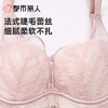 都市丽人内衣B杯薄文胸蕾丝内衣3/4杯内衣聚拢升杯内衣三排四扣软钢圈YBC2A2 商品缩略图4