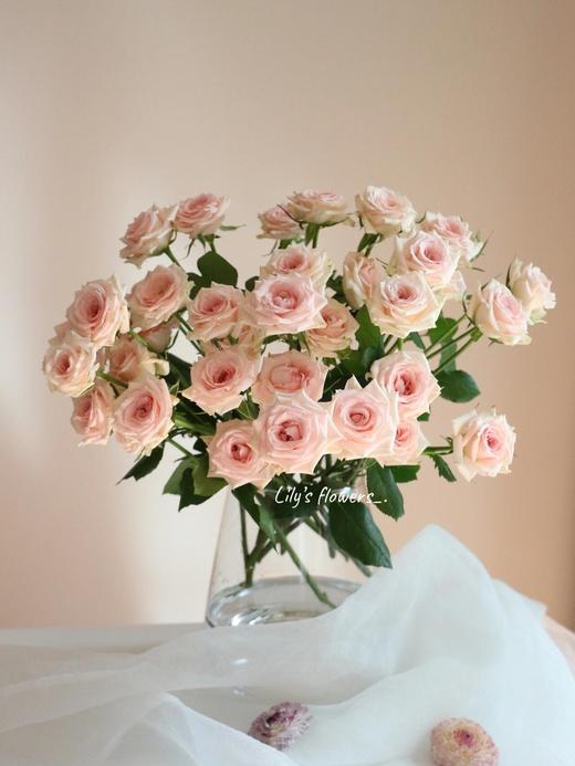 【AB级星悦宝贝多头玫瑰.第二件减10元】5支/份 长约60cm 商品图7