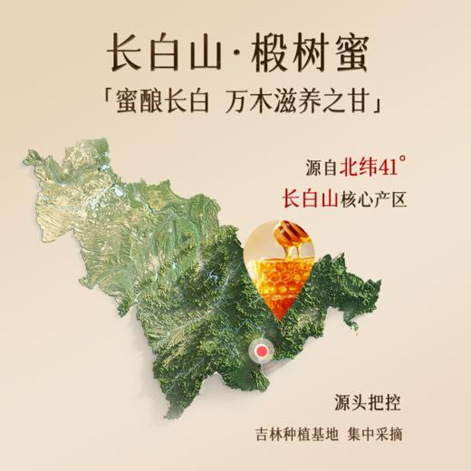  500g/罐*3罐椴树蜜 商品图1