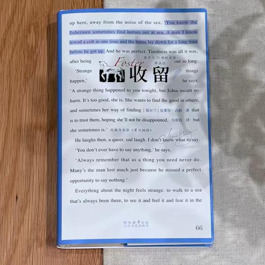 收留  克莱尔·吉根/著 马爱农全新译本 电影夏日细语原著 商品图3