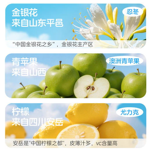 【新品上线】金豆芽金银花苹果汁*100ml袋装儿童饮品预防火火外出便携 商品图3