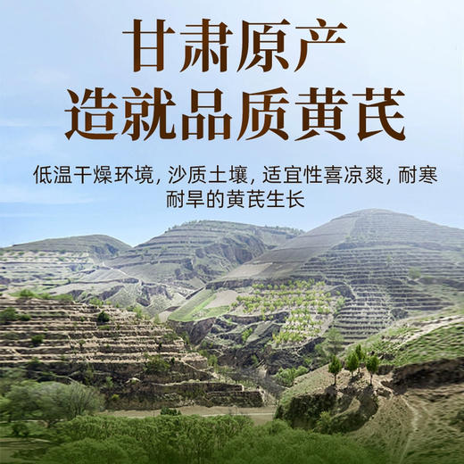 100g*2罐 正宗甘肃黄芪片 送正装枸杞100g 商品图3
