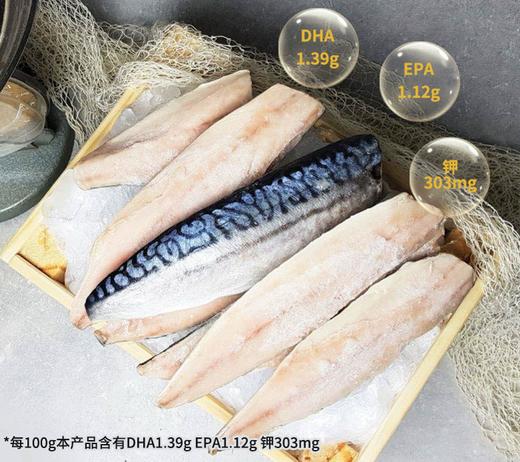 【节目大厨同款】挪威青花鱼片600g/袋  来自北极海域 油脂含量≥25% 肉质鲜嫩 商品图1