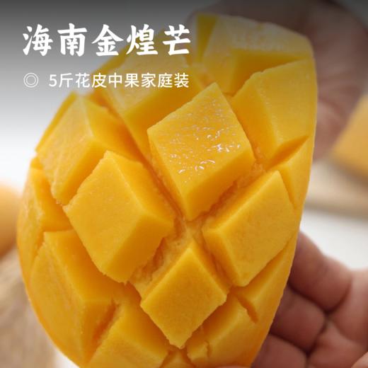 海南金煌芒 | 树上熟海南热带风味 不打药不催熟 肉质肥美细腻无渣 甜蜜满分风味十足 芒果 商品图0