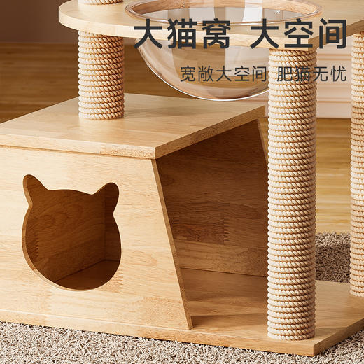 【宠物用品】-实木猫爬架猫窝一体猫咪爬架猫架子靠墙小户型不占地多功能组合 商品图1