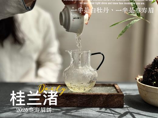 [好茶来了]《桂兰渚》2025春寿眉饼，一半是白牡丹一半是春寿眉的，茶饼，花香更艳，香气更足 商品图8