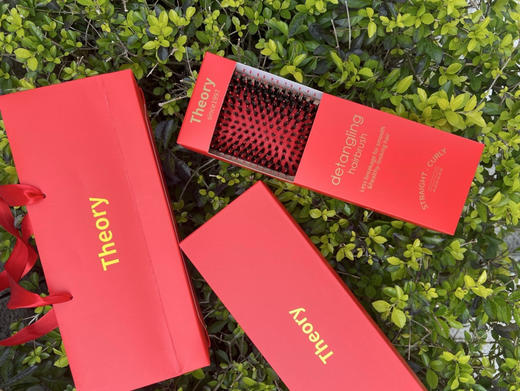 【秒杀价已调 直接拍】正品授权Theory  负离子 猪鬃气垫梳礼盒 商品图8