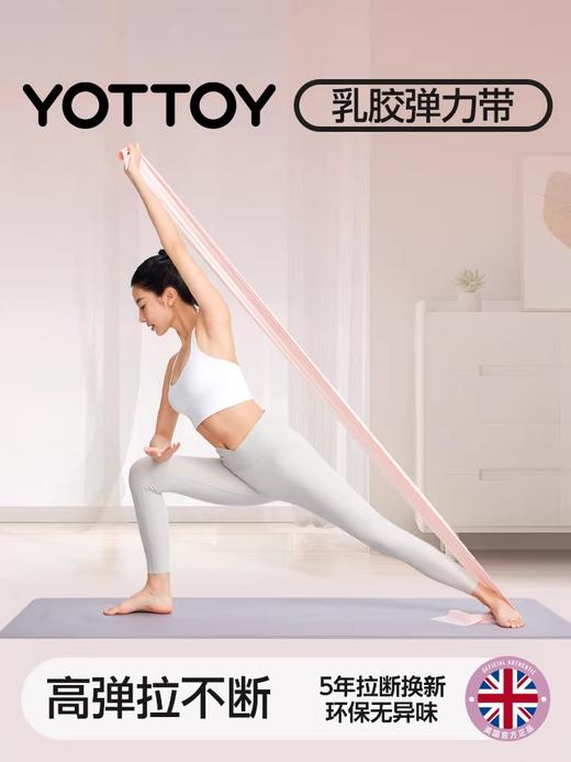 🔥清仓秒杀❗️14.9元起🉐拉力器/拉力绳/弹力带【缺货自动退款 介意勿拍❗️❗️❗️】 商品图2