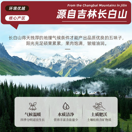 50g/瓶*4瓶 千年珍 五味子 商品图4