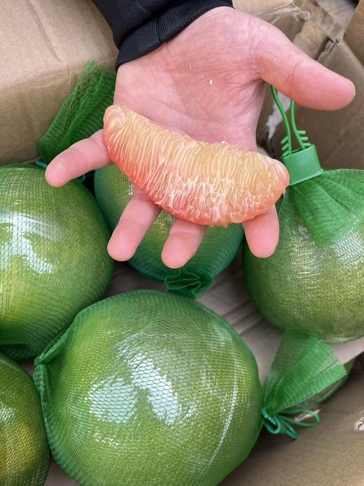 【泰国翡翠柚】果粒饱满甜脆，混合青柠蜜香，去火补水，降燥解腻CC 商品图3