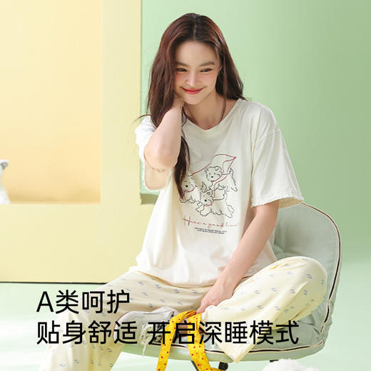 全棉抗菌防螨睡衣（三只小狗） 商品图3