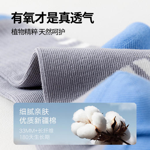 新款【5对装！优质纯棉袜】提耳无骨四季袜 运动童袜子 春夏季A类棉男童女童运动ins潮袜 卡通无骨舒适百搭中筒袜 四季吸汗袜 商品图3