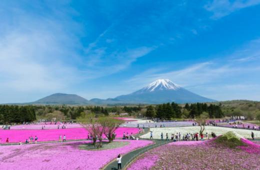 【五一】<日本本州6天尊享游-深圳直飞>大阪城公园、心斋桥·道顿堀、奈良神鹿公园、清水寺、伏见稲荷大社、富士山五合目、忍野八海、银座、秋叶原动漫街 商品图1