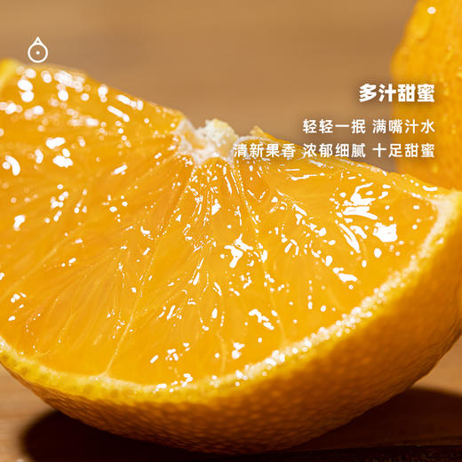 企鹅市集|浙江象山 黄美人 家庭装/礼盒装可选 柔嫩多汁 清新甜蜜 商品图2