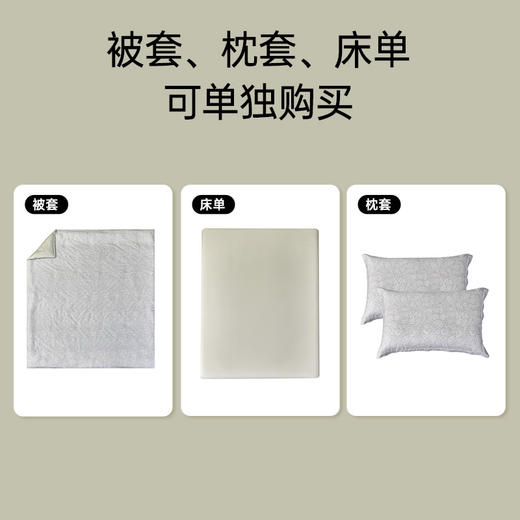 60支兰精天丝印花拆件(梦幻芭蕾) 商品图4