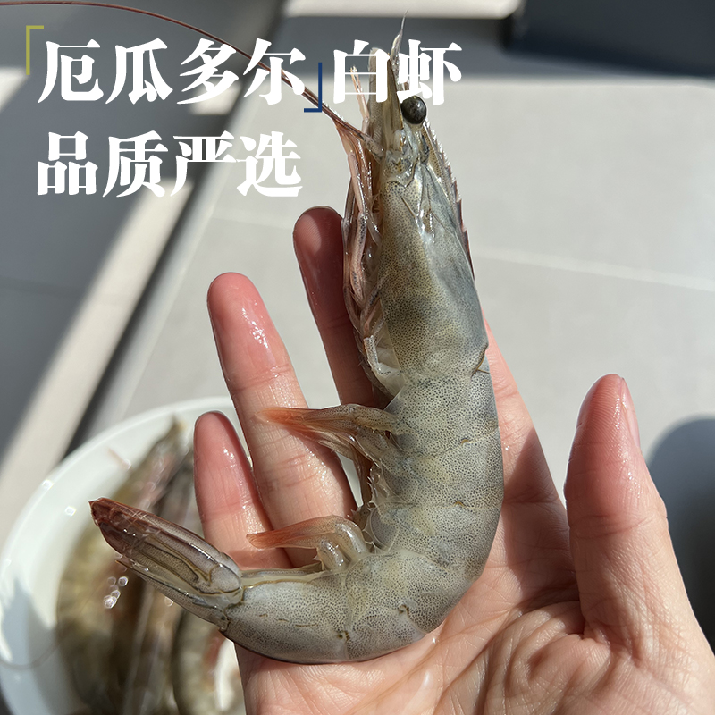 热卖中！！顺丰直发！【2026年2月清关新货 原箱进口】厄瓜多尔南美白虾（20-30大规格）净重3.3斤/盒