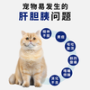 澳滋麦甘滋源复合肝胆胰酶颗粒狗肝胆胰疏通代谢猫咪营养补充剂 商品缩略图1