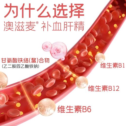 澳滋麦补血肝精宠物营养补充剂补铁怀孕营养品维生素b族猫犬通用 商品图1