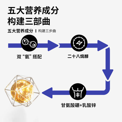 【双氨协同】OXYENERGY/氧气能量五合一瓜氨酸胶囊60粒/瓶进口营养 商品图2