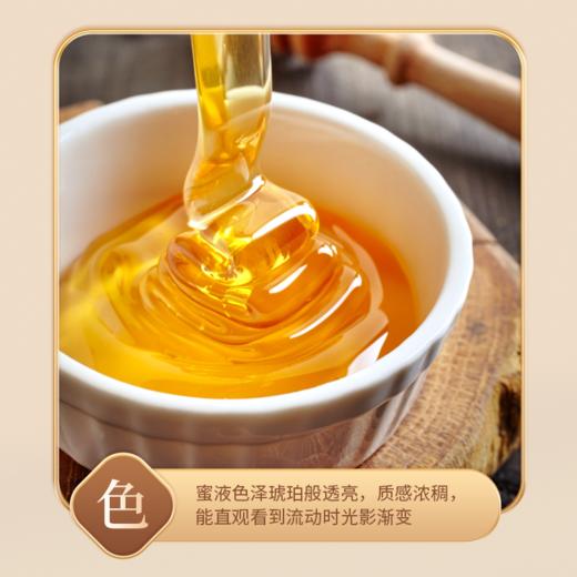  500g/罐*3罐椴树蜜 商品图2