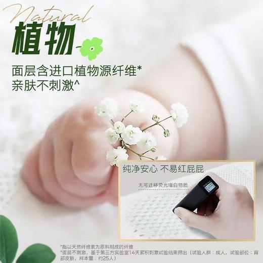 【两包一组】好奇彩箱 | 小森林去野系列  纸尿裤 拉拉裤 商品图1