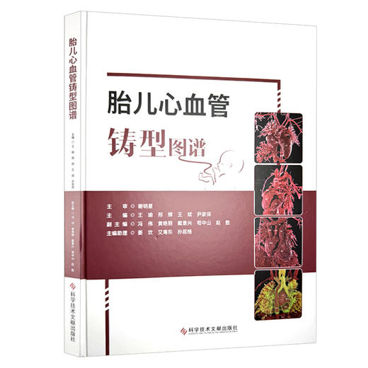 胎儿心血管铸型图谱 王瑜 邢辉 王斌 尹家保 主编 涵盖室间隔缺损、法洛四联症、大动脉转位等20余类畸形 科学技术文献出版社 商品图1