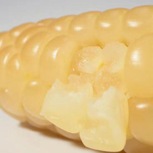 【产地直发包邮】听甜—西双版纳白糯拇指玉米 商品图4