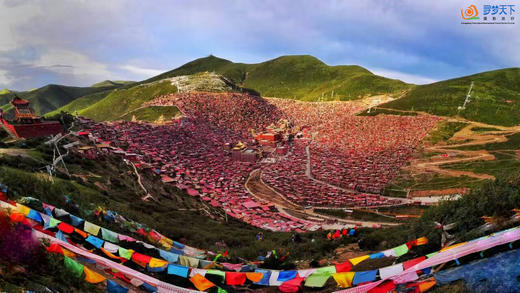 川西秋色 10 天:格聂南线、措普沟、措卡湖、色达佛学院、亚青寺、鱼子西、新都桥、子梅垭口 商品图7