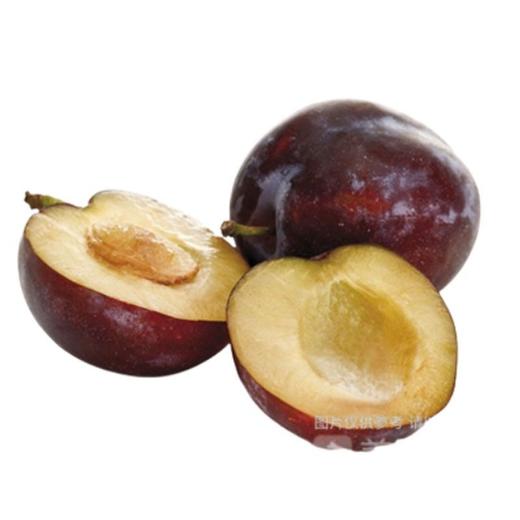 智利红布林李子（550±50g） 商品图1