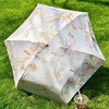 六折油画扁伞 | 29.9元秒杀！把美术馆揣进口袋 六折压缩至15cm，薄至4cm！抗风骨架 防水面料 晴雨双模式 商品缩略图1