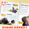 【9-12岁适读】《天天爱科学》（科学课堂）杂志  单期/订阅自选 商品缩略图2