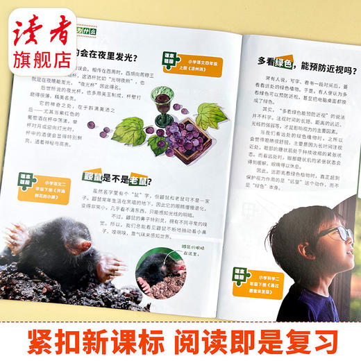 【9-12岁适读】《天天爱科学》（科学课堂）杂志  单期/订阅自选 商品图2