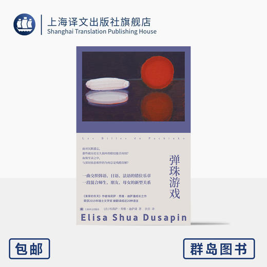 弹珠游戏 群岛图书 [法]埃莉萨·秀雅·迪萨潘 著 狄佳 译 瑞士文学奖 三十岁女性 跨语言跨文化的身世找寻【上海译文】 商品图0