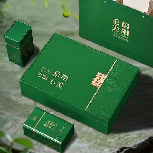 30元一套 / 一箱16套 大师制茶【信阳毛尖 绿色 二合一】 商品图2