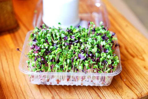 萝卜芽 商品图0