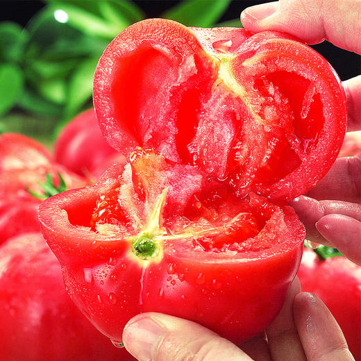 陕西普罗旺斯西红柿，酸甜多汁，自然成熟，新鲜水果蔬菜番茄 商品图1