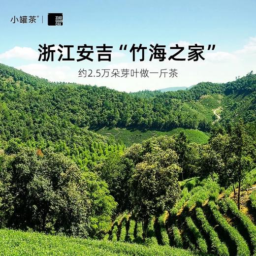 【春茶预售】小罐茶安吉白茶明前手采2026年绿茶茶叶礼盒自己喝 商品图3