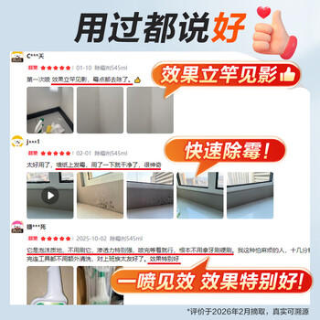 MISTOLIN进口墙体除霉剂545ml墙壁墙面霉斑清除剂去霉菌霉点白墙木材防霉 /家庭清洁/纸品 /家庭环境清洁 /除霉用品 商品图6