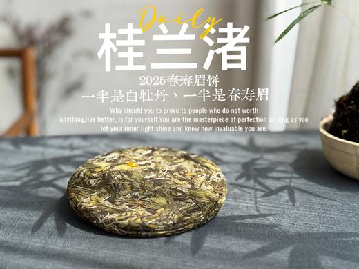 [好茶来了]《桂兰渚》2025春寿眉饼，一半是白牡丹一半是春寿眉的，茶饼，花香更艳，香气更足 商品图2