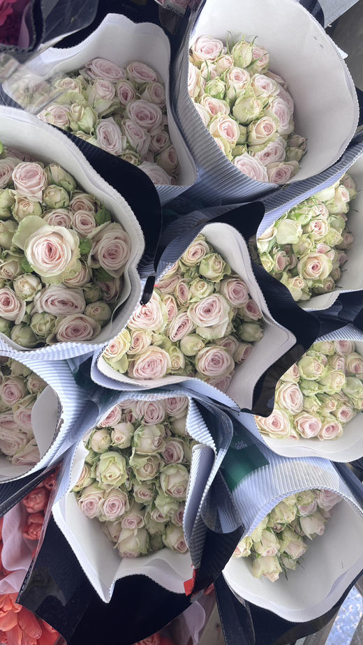 【方德多头玫瑰】寿司 10枝 （新品） 商品图2