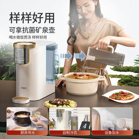 【 终生免费送全套滤芯 】26年爆品·家里泉天山AI智能款矿泉机