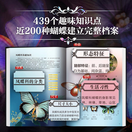 《世界蝴蝶全书》四项专属赠品，一部蝴蝶图鉴+蝴蝶知识百科+蝴蝶观察指南，全书收录了800多种蝴蝶，2300多幅高清插图 商品图3