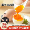 【杨博士】土鸡蛋不土包赔正宗深山散养土鸡蛋新鲜草鸡蛋 40g-50g/枚 商品缩略图0