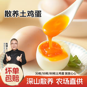 【杨博士】土鸡蛋不土包赔正宗深山散养土鸡蛋新鲜草鸡蛋 40g-50g/枚
