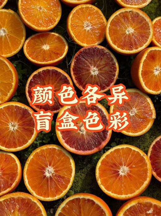 【会员21.5/4颗】李子妃重庆垫江长寿湖血橙 商品图5